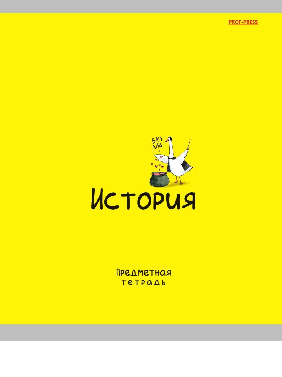 

Тетрадь предметная 48л клетка мелов.картон Mini Friends История PROF-PRESS 48-2510