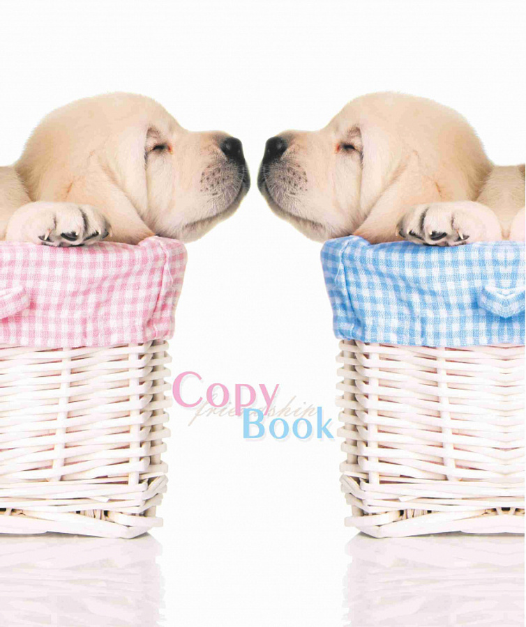 Тетрадь А5 48л клетка скрепка обл.мелов.бум. Ассорти писчая 2 блок КАМА ЦБК Т-01