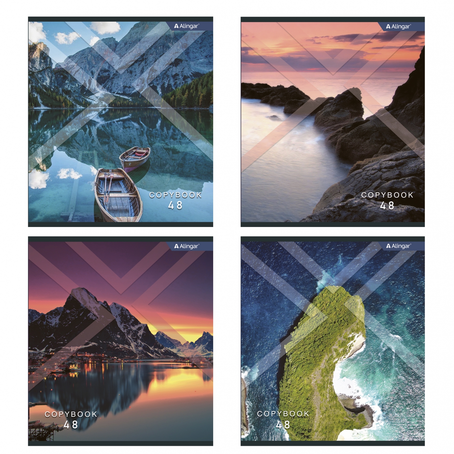 Тетрадь А5 48л клетка скрепка меловкартон Необычный пейзаж ассорти ALINGAR AL10375 55₽