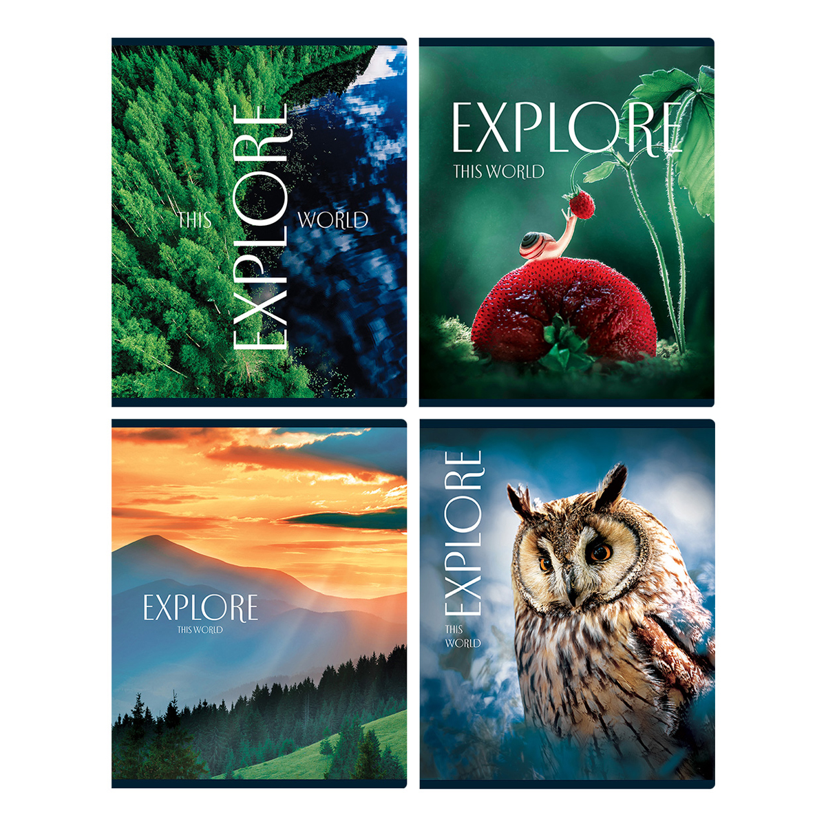 

Тетрадь А5 48л клетка скрепка мелов.картон Explore глянц.лам. ассорти BG Т5ск48_лг 12270