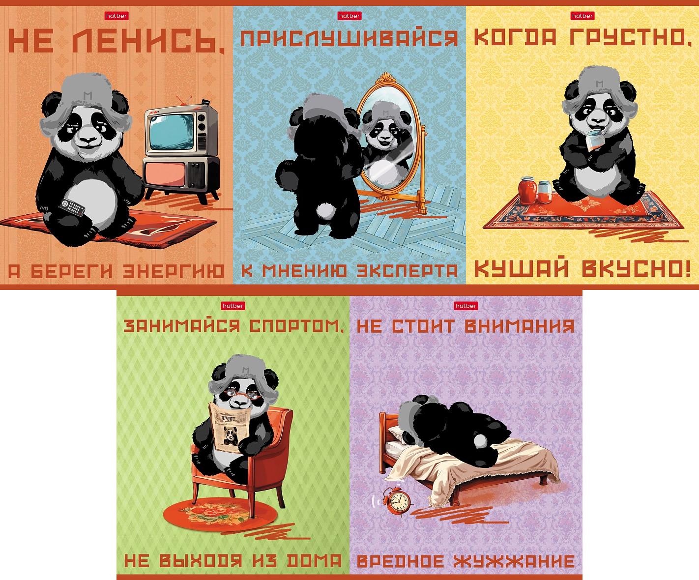 

Тетрадь А5 48л клетка скрепка мелов.картон Мудрая панда ассорти 5 дизайнов HATBER 48Т5В1