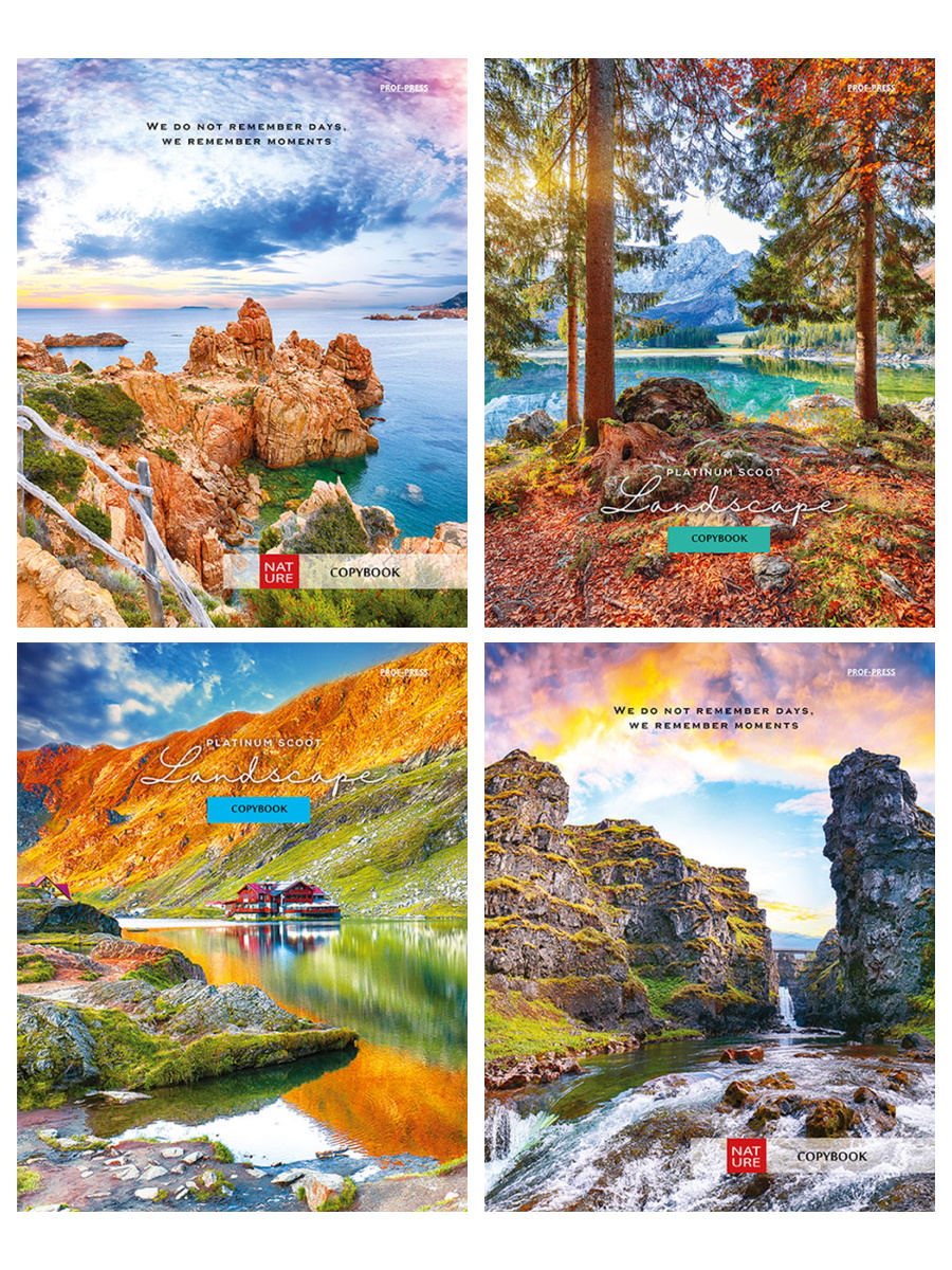 

Тетрадь А5 80л клетка гребень мелов.картон Волнующие пейзажи-1 PROF-PRESS 80-9119