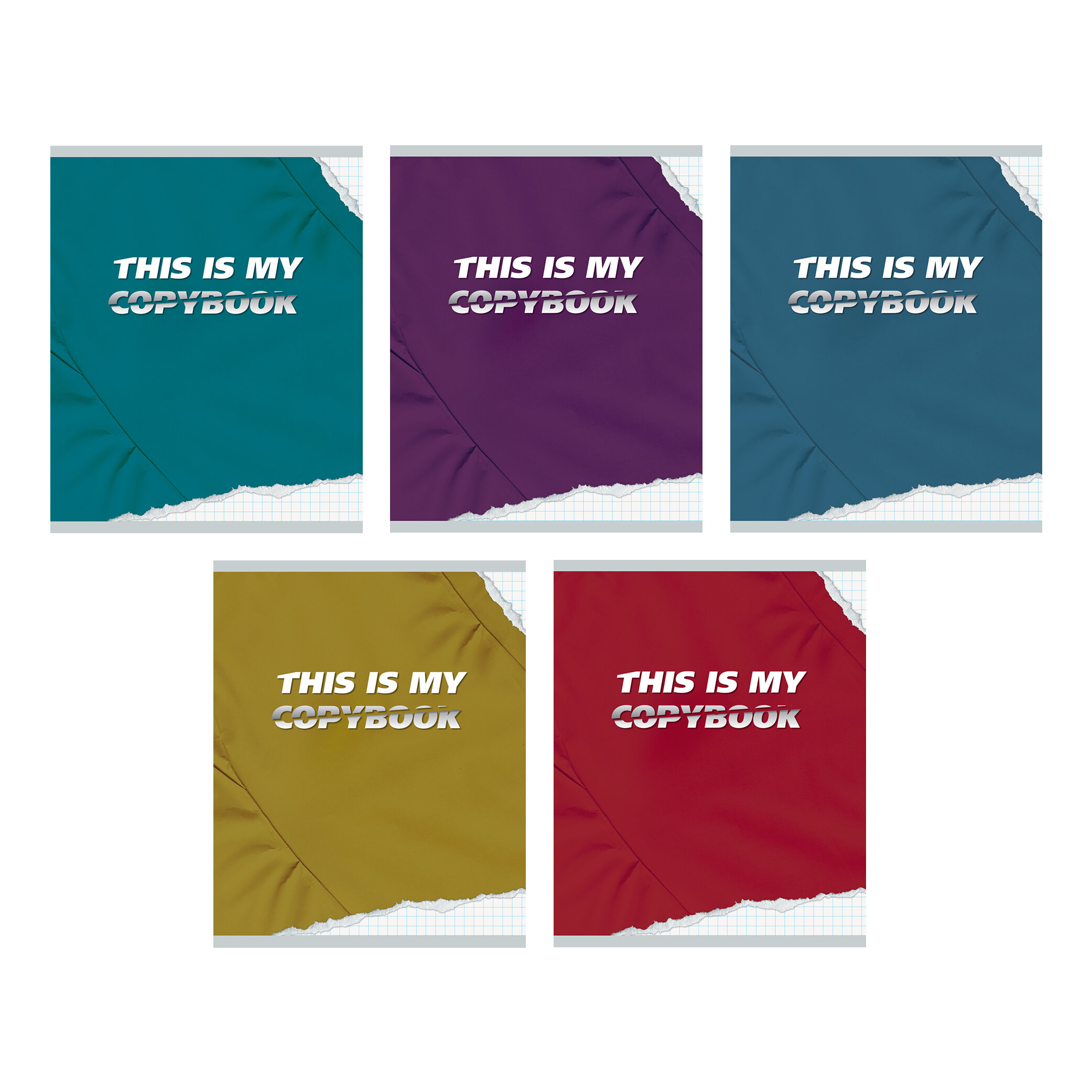 

Тетрадь А5 96л клетка скрепка карт.обл. хромэрзац My Copybook 2 блок ассорти Listoff ТК967967