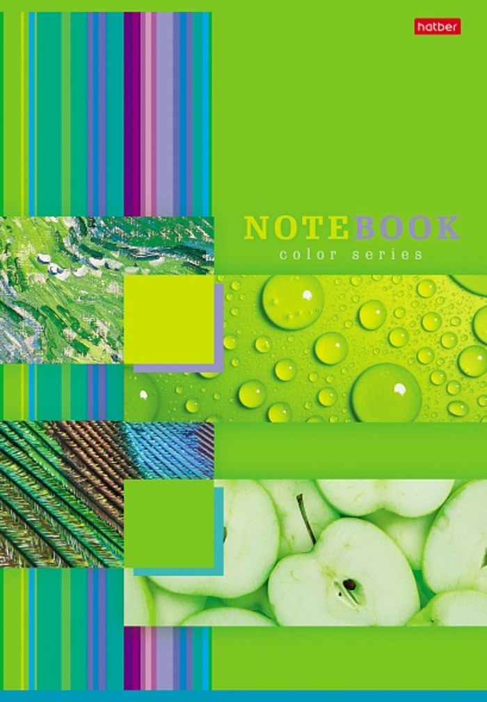 

Тетрадь А4 96л линия скрепка мелов.картон Моменты радости глянц.лам. ассорти HATBER 96Т4лВ2