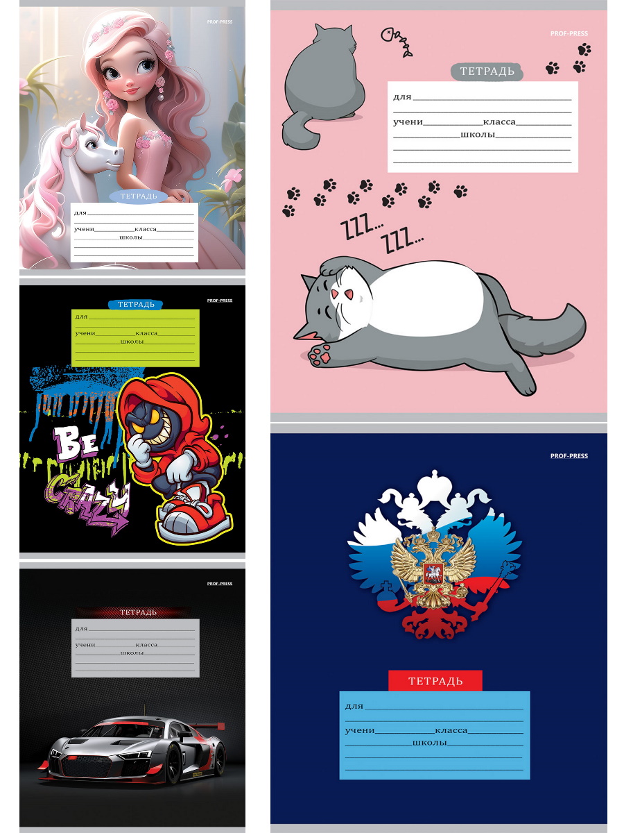 

Тетрадь А5 12л косая частая линия обл.мелов.бум. МИКС-5788 ассорти 5диз. PROF-PRESS 12-5788