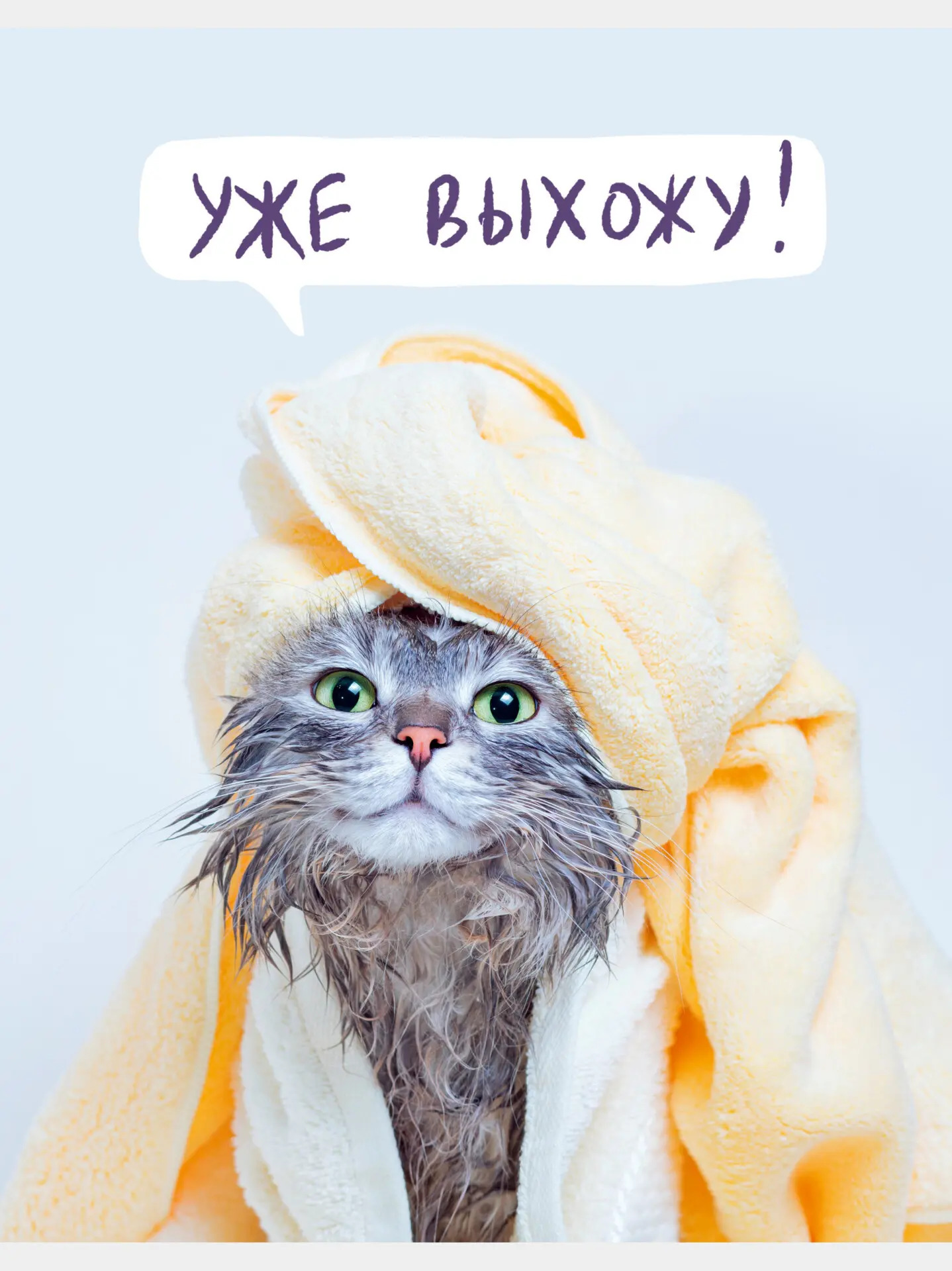 

Тетрадь А4 60л клетка скрепка мелов.картон Утро кошечки мат.лам. выб.лак Listoff ТЛ4605121