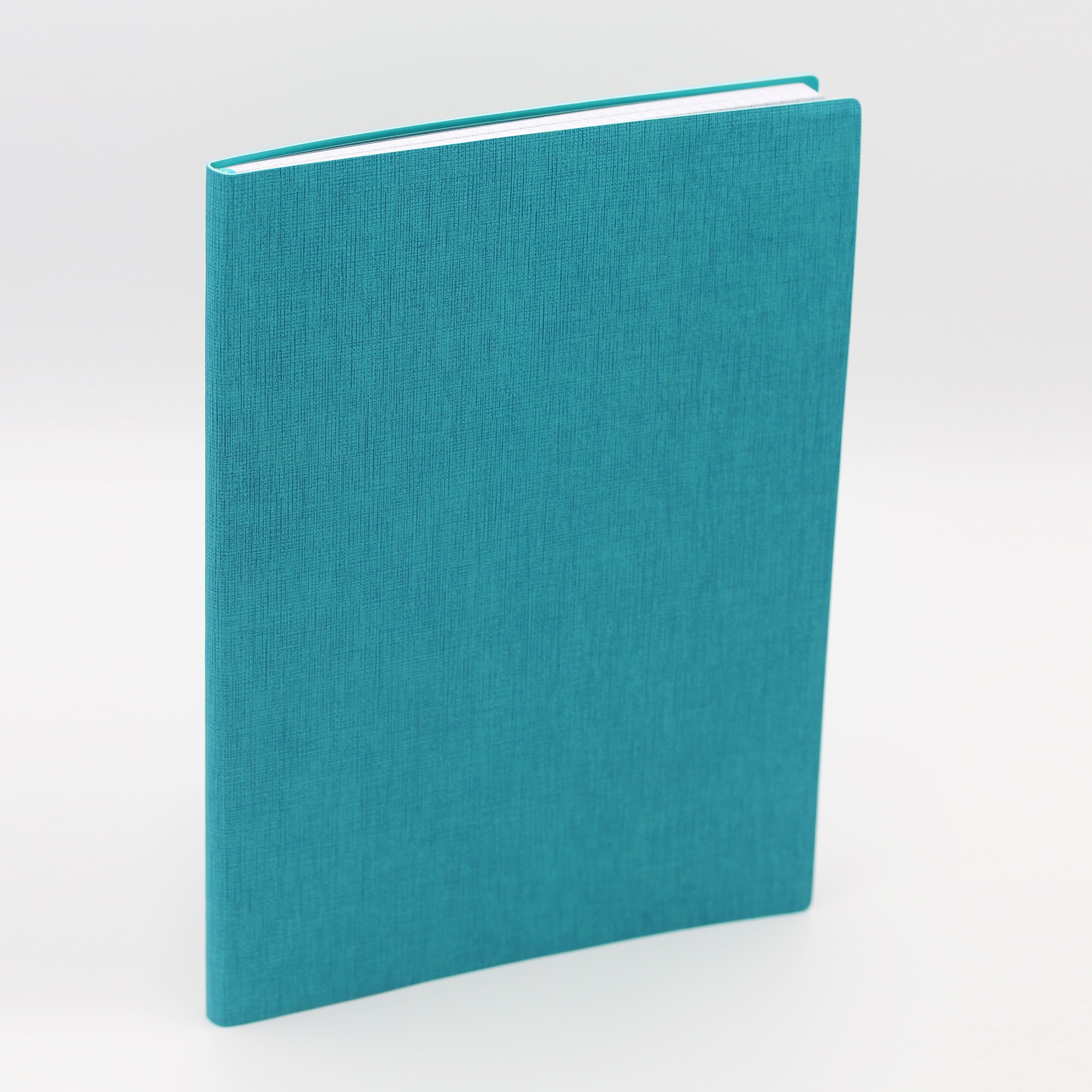 Тетрадь бирюзовая. Бирюзовая тетрадь. Ежедневник бирюзовый. Academy style тетради. Бирюзовая тетрадь.