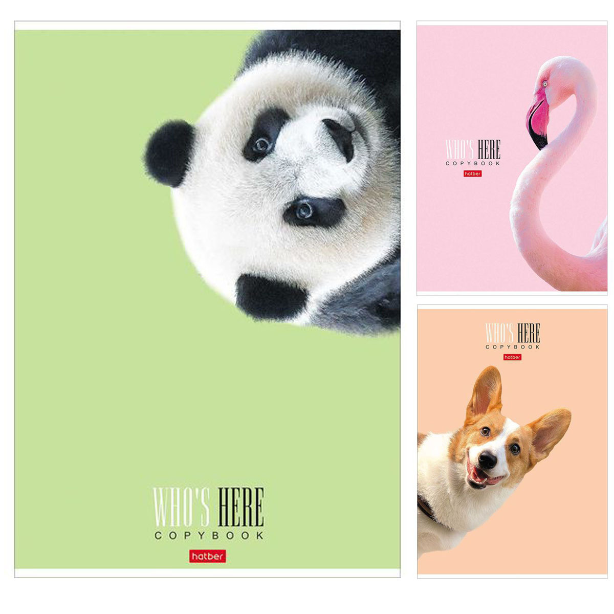 

Тетрадь А4 96л клетка скрепка мелов.картон Кто здесь мат.лам. HATBER 96Т4лВ1