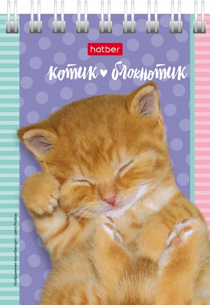 

Блокнот А7 40л клетка гребень Котята ассорти HATBER 40Б7В1гр