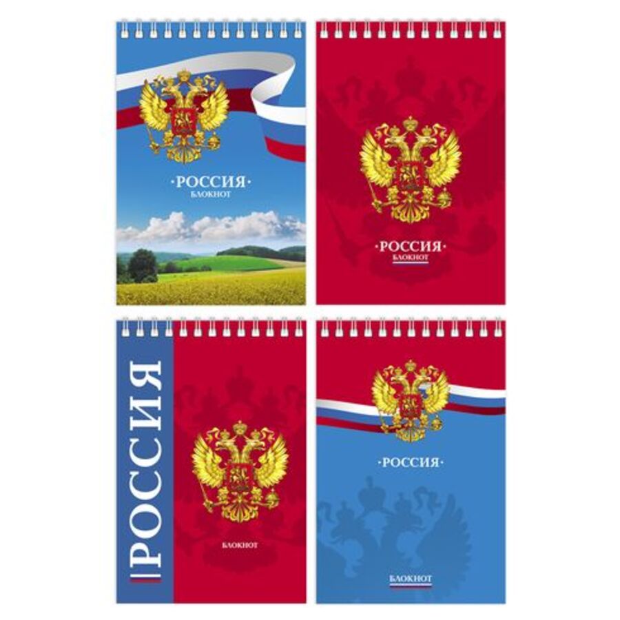 

Блокнот А6 60л клетка гребень Россия ассорти BG Б6гр60 8886