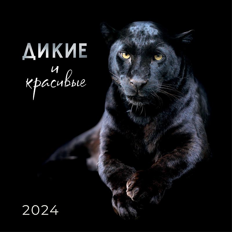 дикий 2024. Wildboy рэп. Loco smoko freestyle obladaet. затерянный мир 4. дикий 2024.
