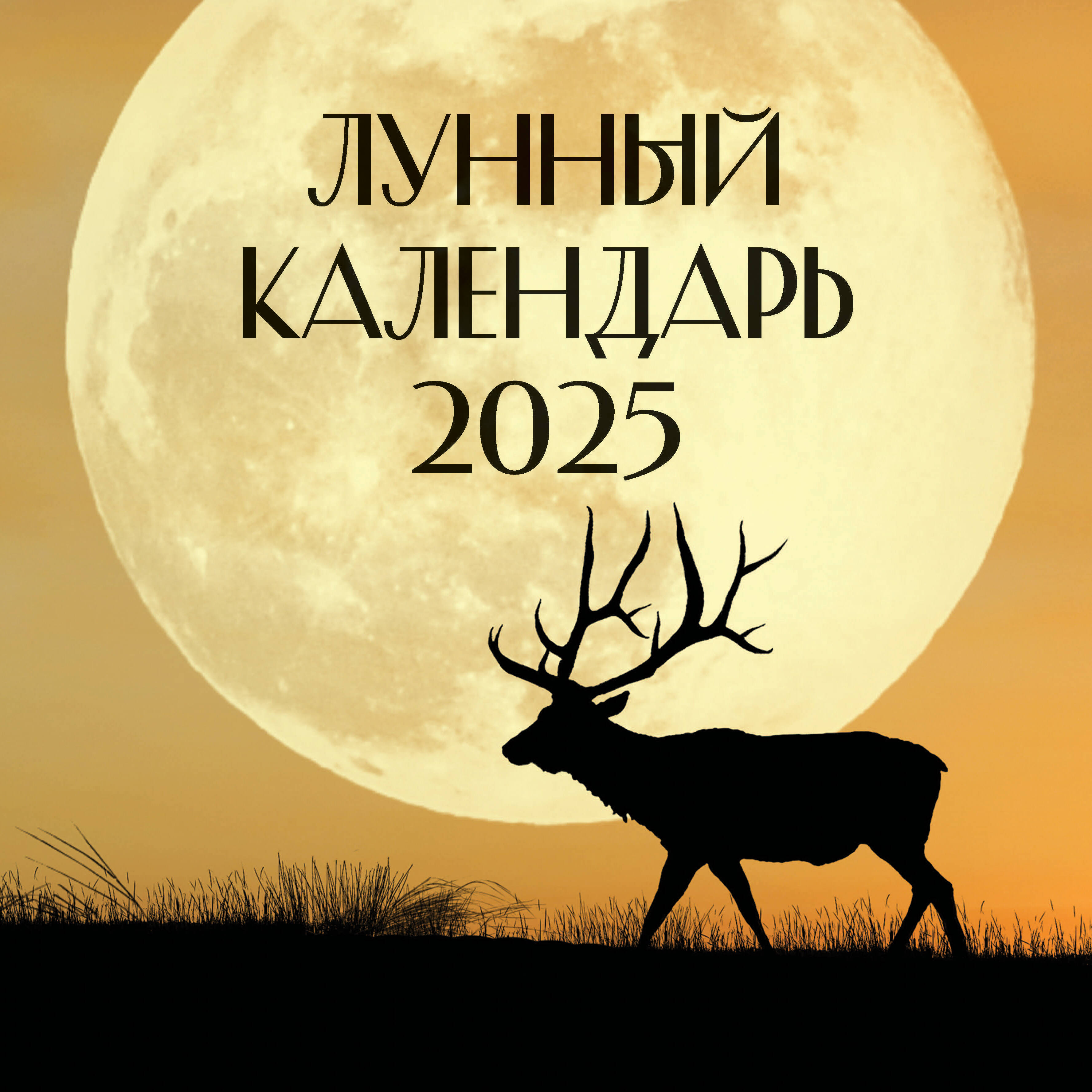 

Календарь 2025 1-блочный 300х300мм Скрепка 14л Лунный Кладезь 880572