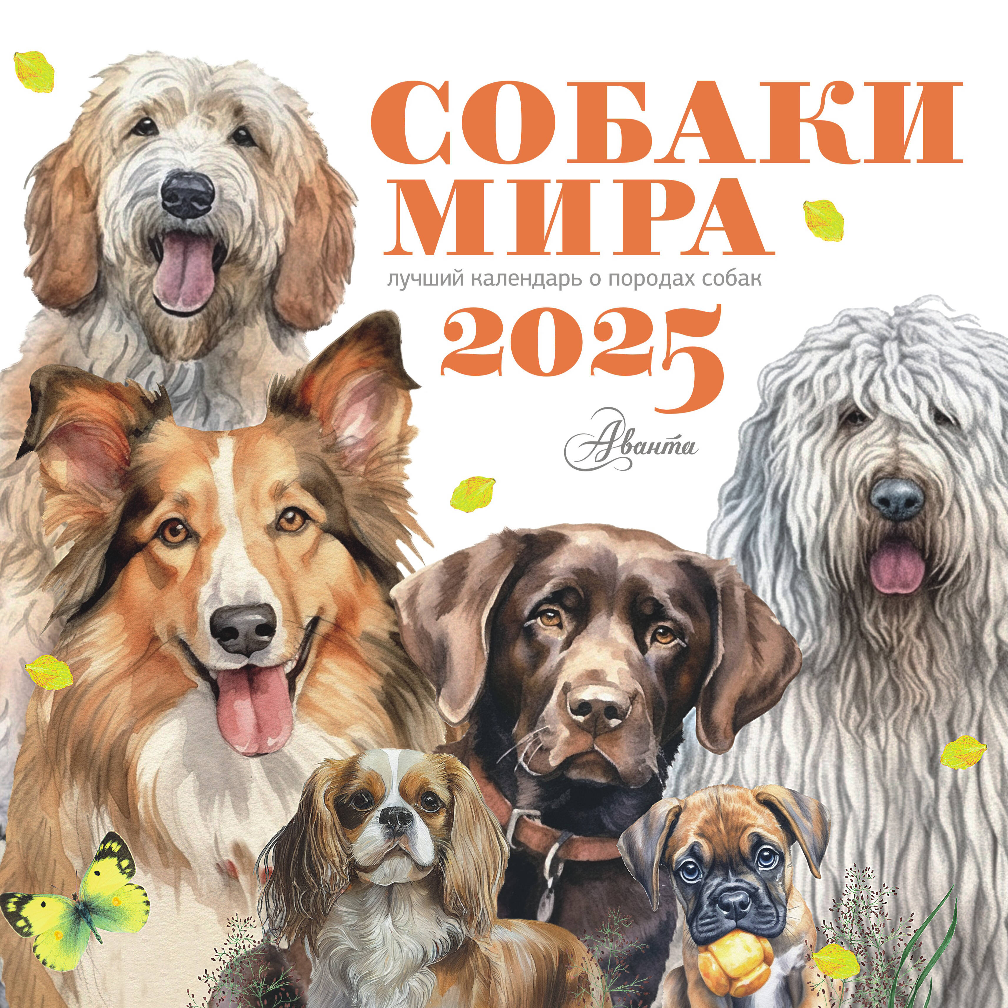 

Календарь 2025 1-блочный 300х300мм Скрепка 14л Собаки мира Для детей Аванта 881089