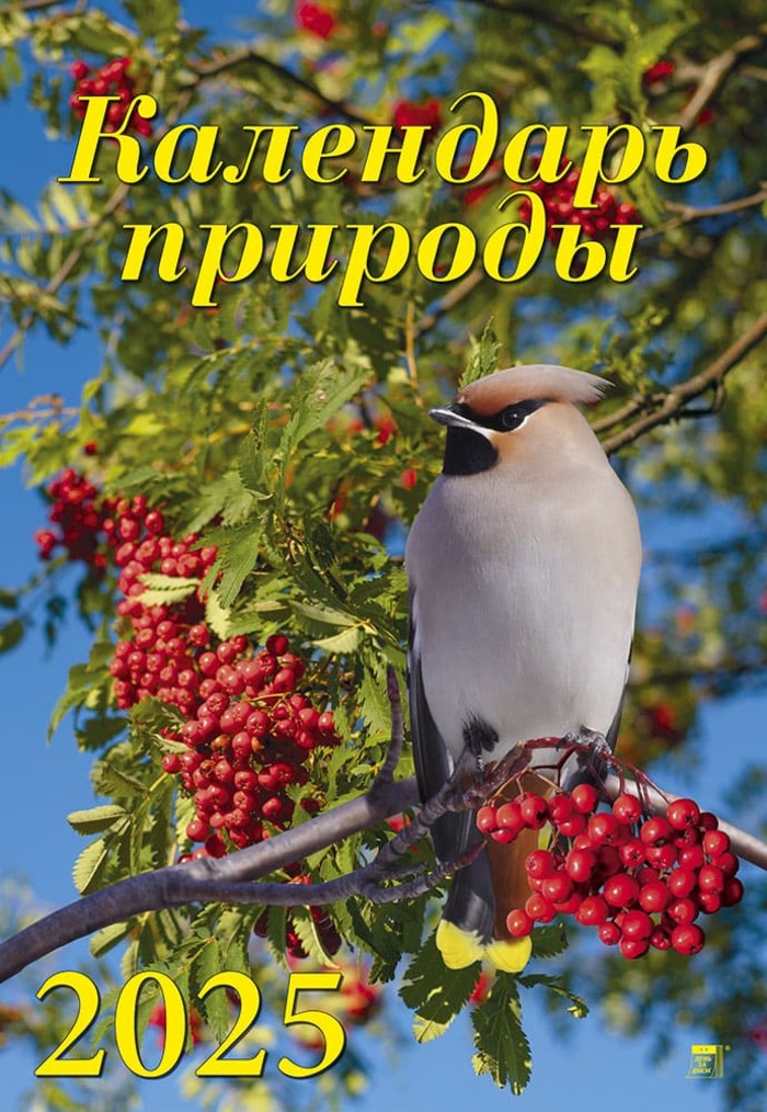 

Календарь 2025 1-блочный 350х500мм Гребень+ригель 12л Календарь природы День за Днем 12513