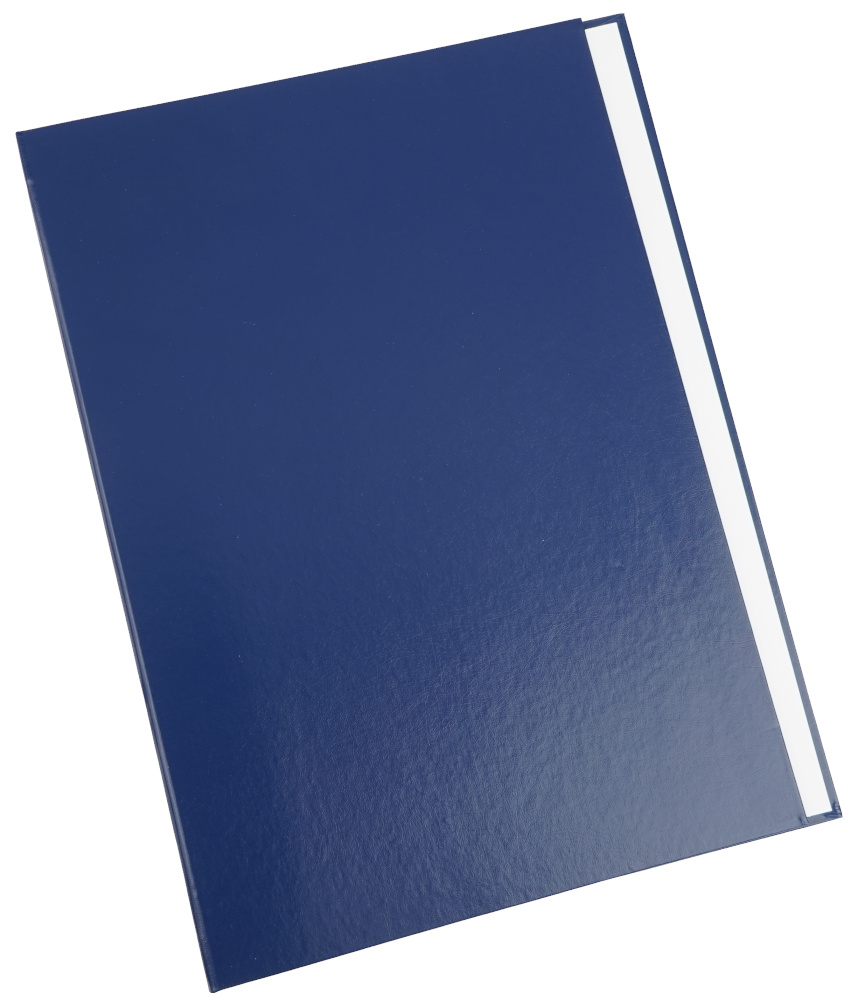 

Папка бумвинил А4 обложка Дипломная работа без тиснения синий ЧДП С-6/1 б/т син.