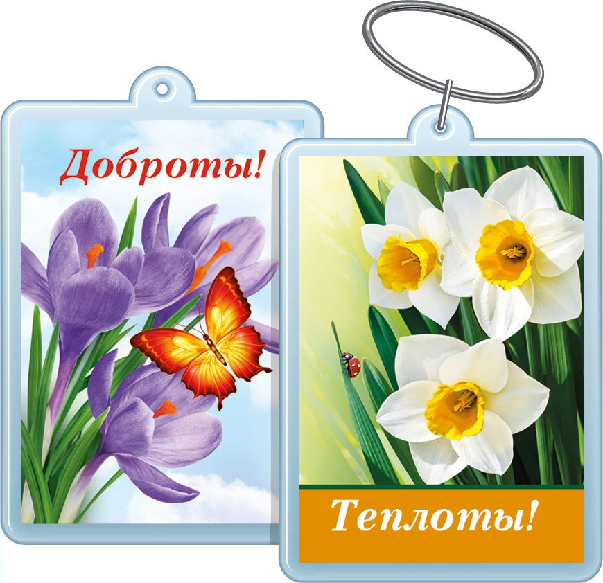 милосердие к животным. добрые поступки. картинка территория добра. ромашки в руках. доброта 51.