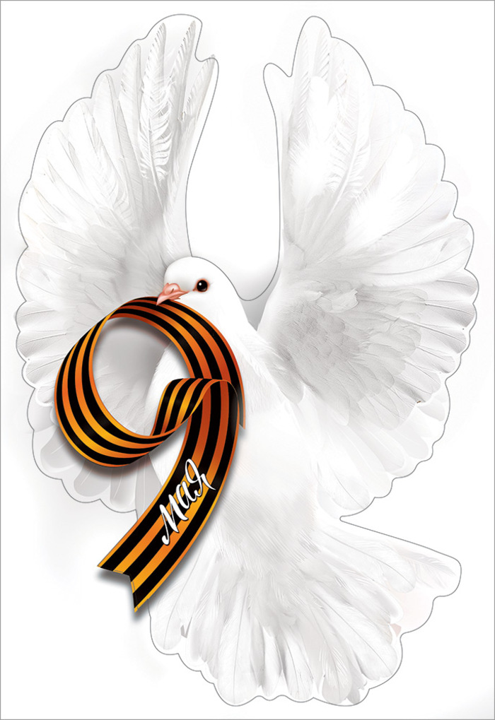 50000446 Наклейка оформительская А4 9 мая голубь УФ-лак 66₽