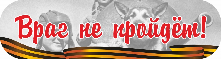 CSQ00010 Наклейка на машину Наклейка на авто Враг не пройдет 48х13см 101₽