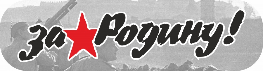 Наклейка на авто За Родину 48х13см Медный Всадник CSQ00004 101₽