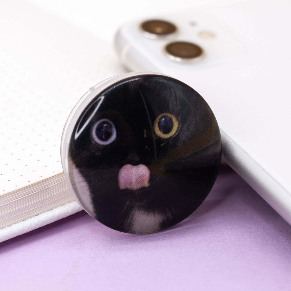 

5783604 Попсокет Cat grimacing black