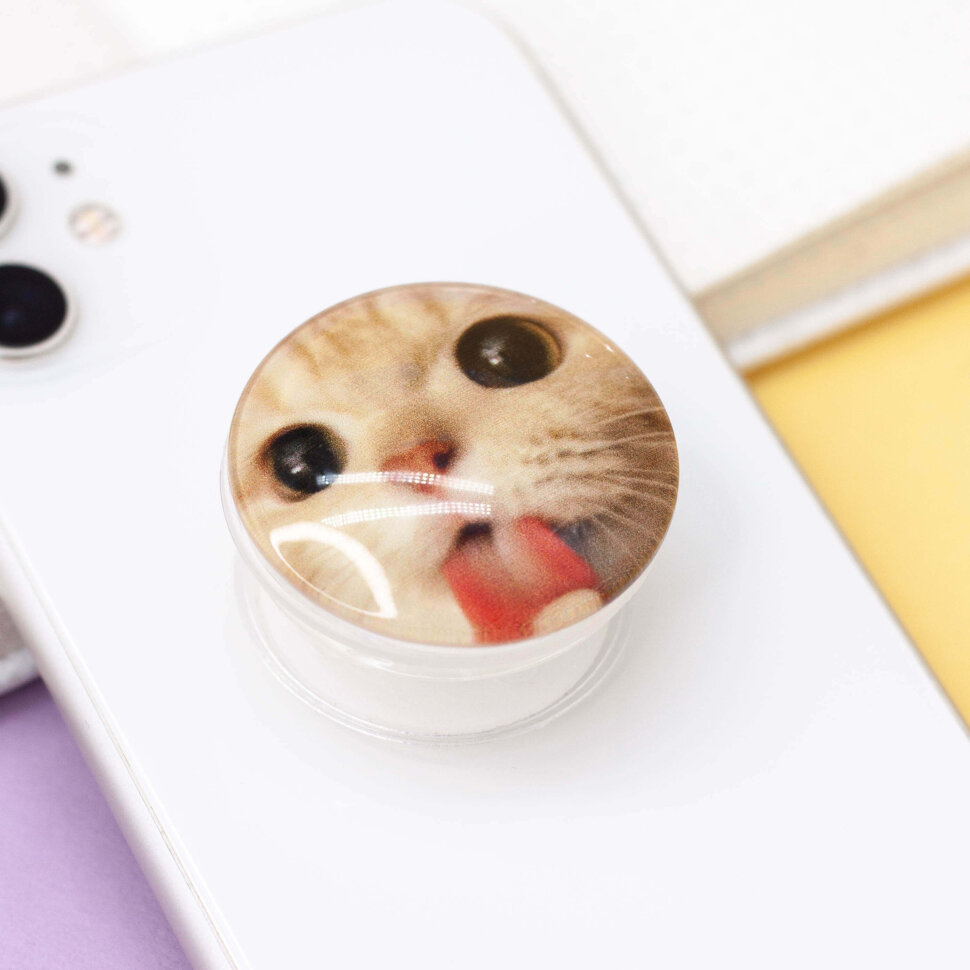 

5783603 Попсокет Cat grimacing white