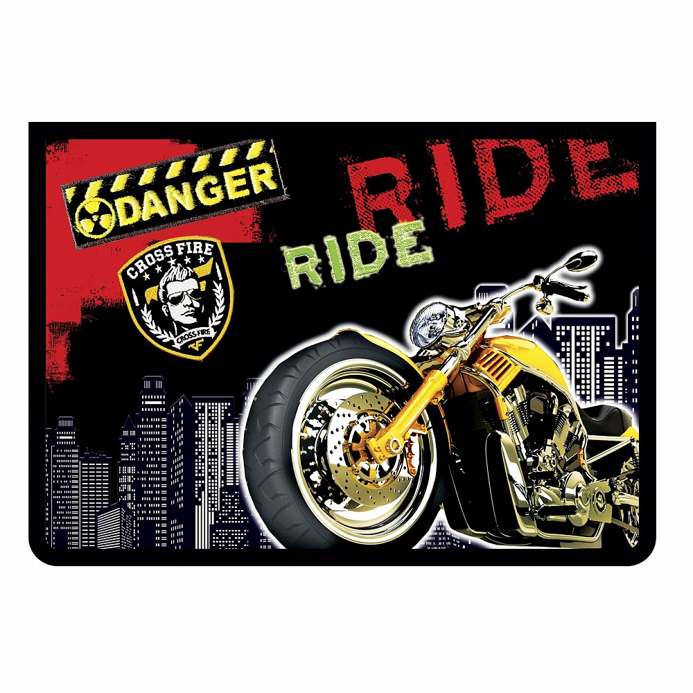 

Папка для тетрадей пластик молния сверху А4 1отд. Опасный мото ПЧЕЛКА ПМ-А4-29 (муж)