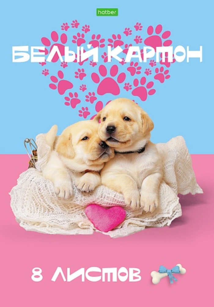 Картон белый А4 8л ECO Гав-Стори склейка HATBER 8Кб4к_30177 61₽