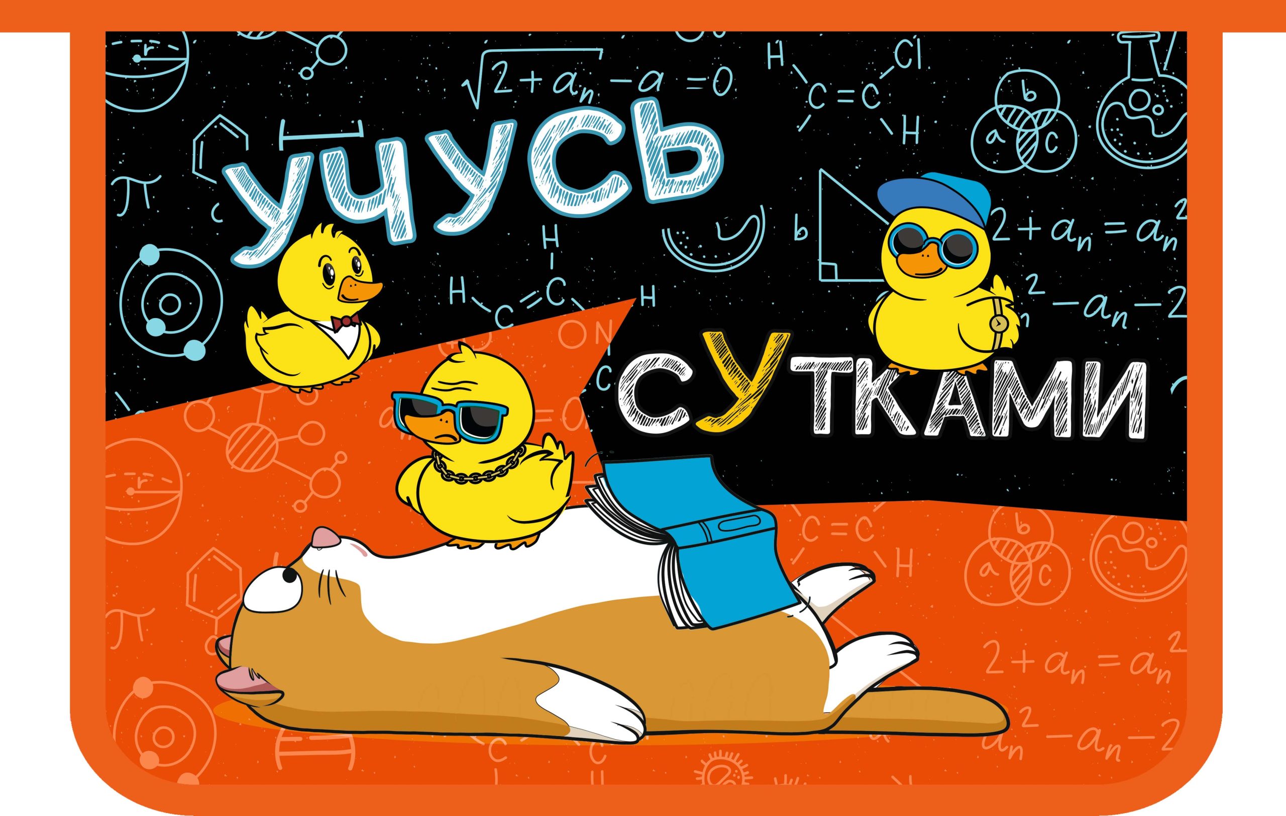

Папка для тетрадей пластик молния сверху А4 1отд. Учусь сутками ПЧЕЛКА ПМ-А4-291 (уни)
