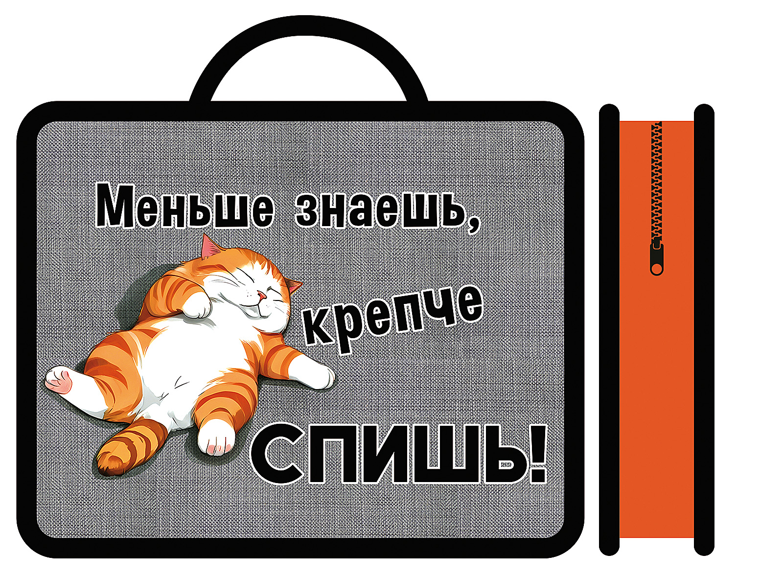 

Папка для тетрадей пластик молния сверху А4 1отд. Спящий котик ручки ПЧЕЛКА ПМ-А4-26