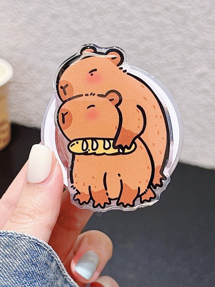5783714 Попсокет Capybara lovers 320₽
