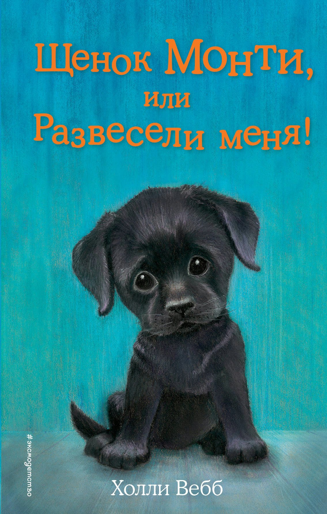

Щенок Монти, или Развесели меня!