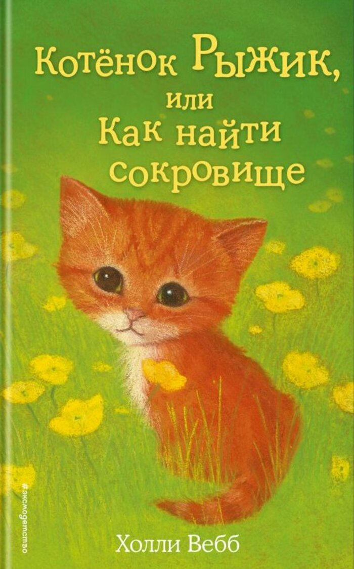 

Котёнок Рыжик, или Как найти сокровище