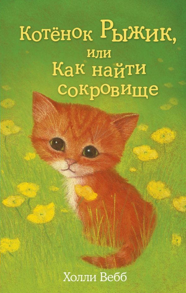 

Котёнок Рыжик, или Как найти сокровище