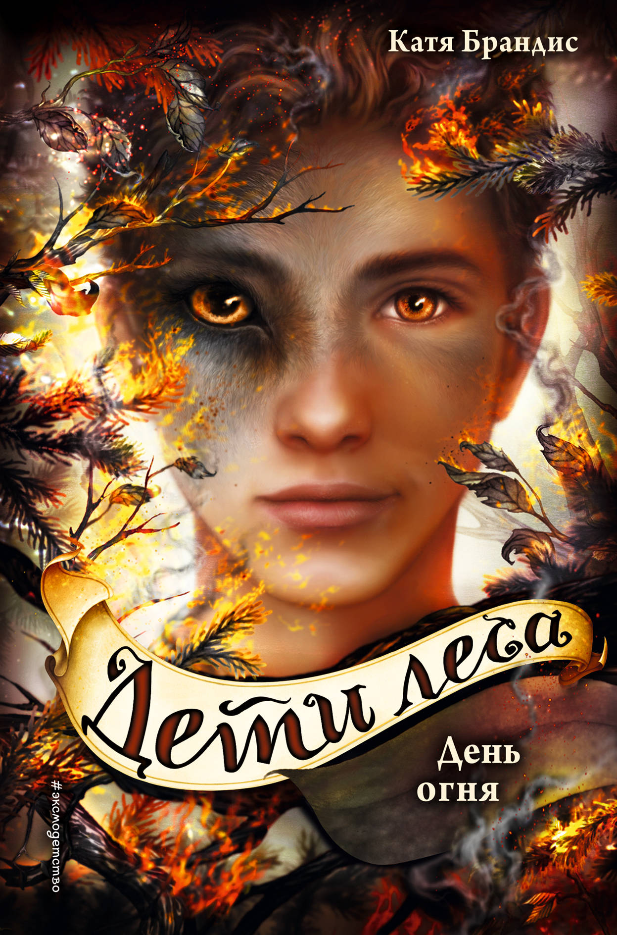 

День огня. Книга 6