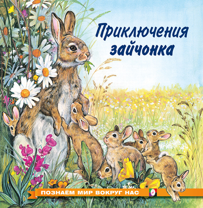 

Приключения зайчонка
