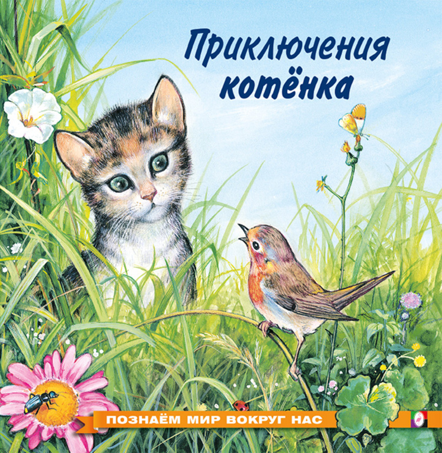 

Приключения котенка