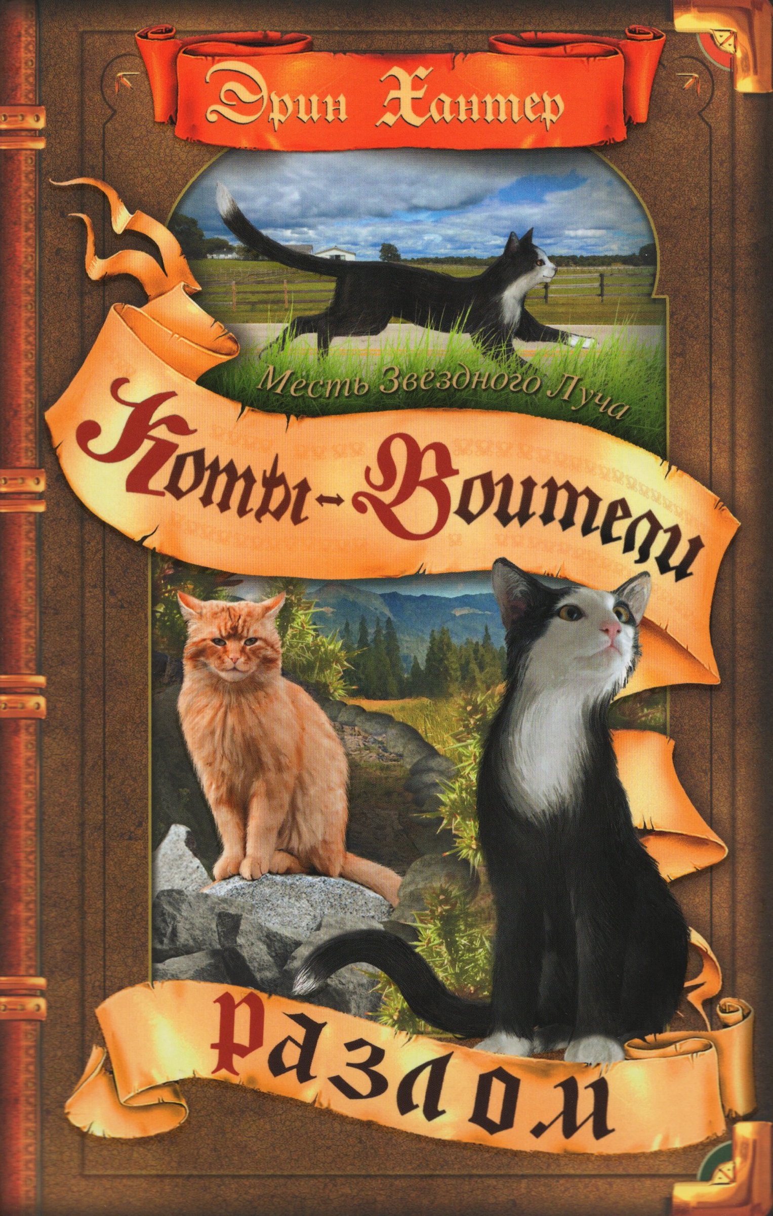 

Месть Звездного Луча. Том 1. Разлом