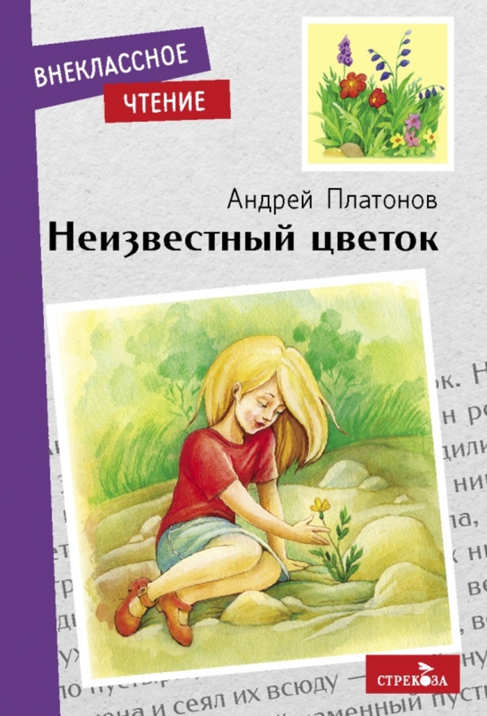 

Неизвестный цветок
