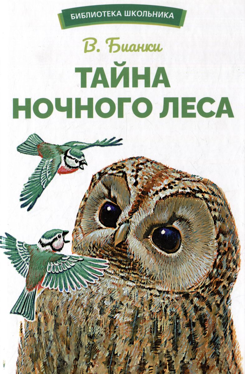 

Тайна ночного леса