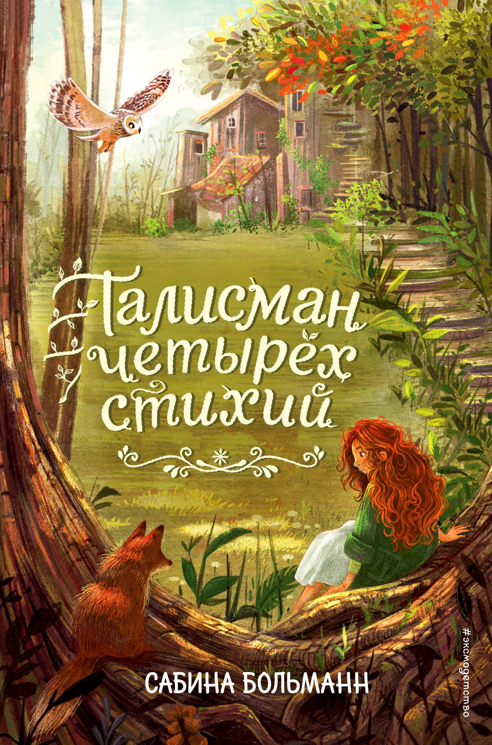 

Талисман четырех стихий. Книга 1