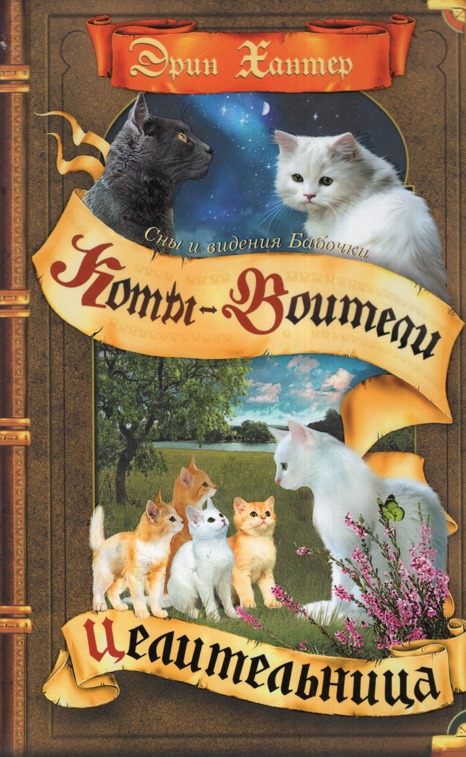 

Cны и видения Бабочки. Книга 2. Целительница