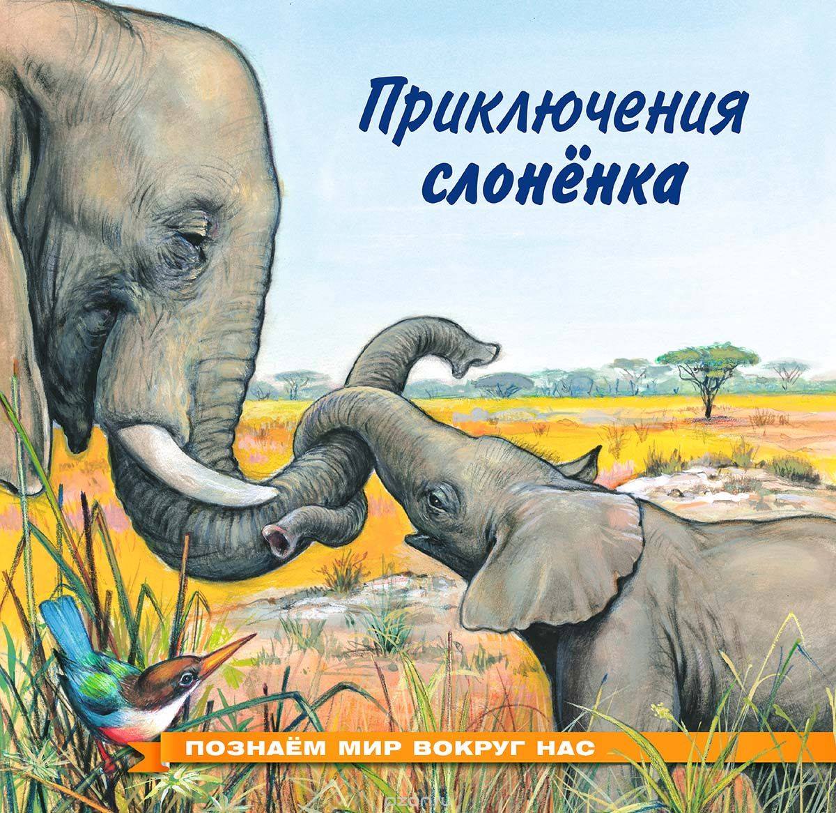 

Приключения слоненка