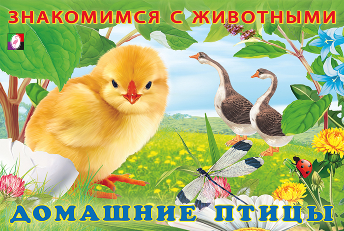 

Домашние птицы