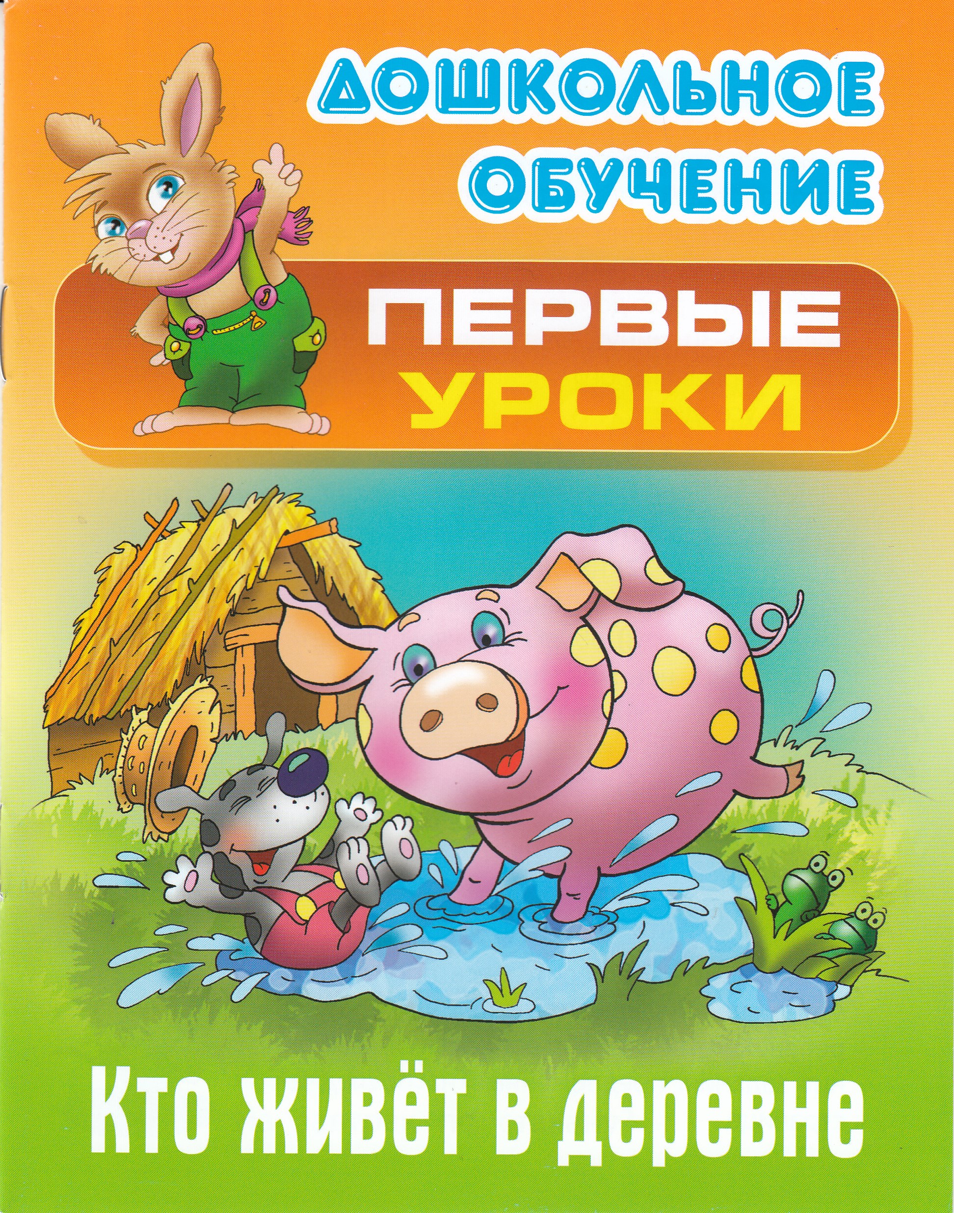 Жители сельской местности. Кто живет в этой деревне. Деревенские люди. Книга глазастики в деревне. Жители русской деревни.