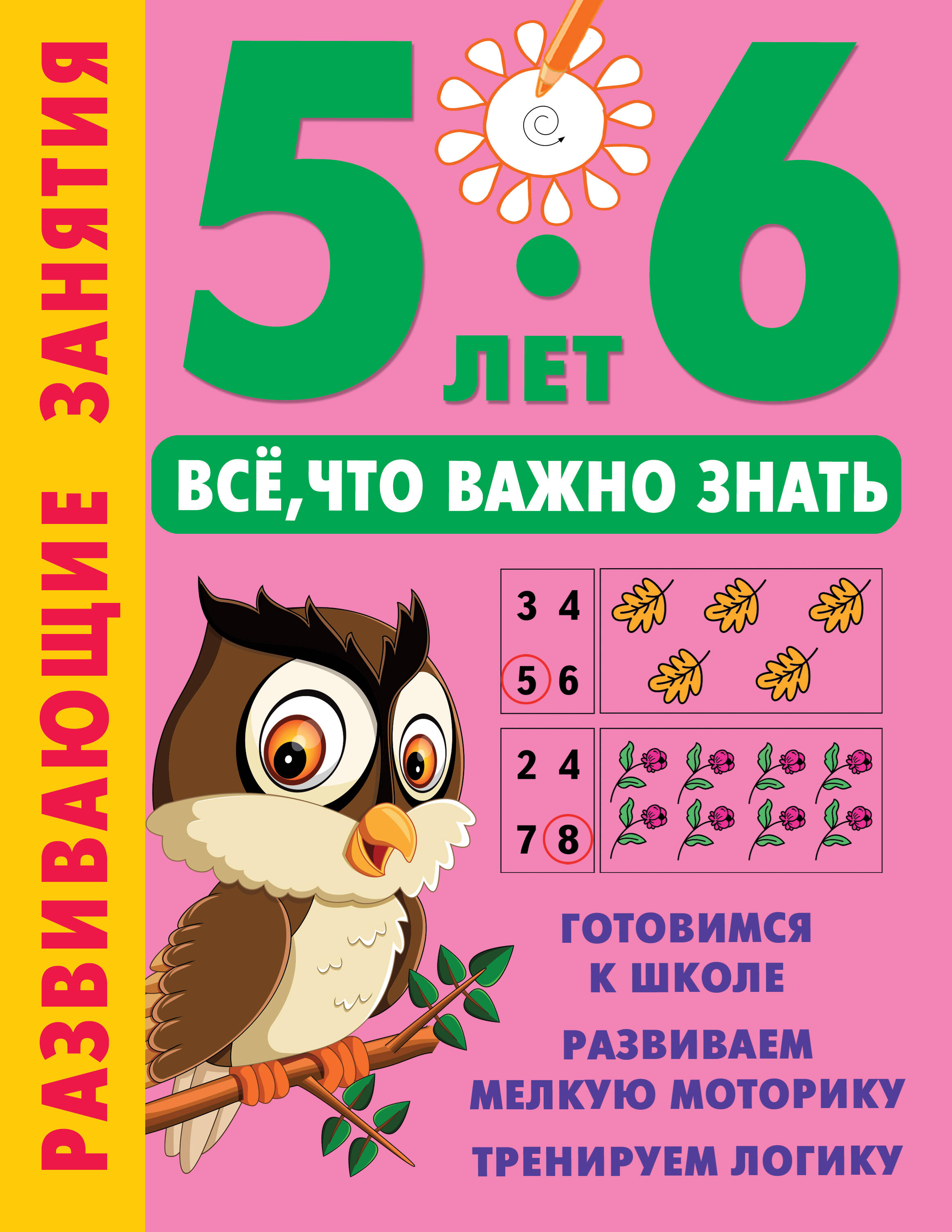 

Развивающие занятия. Все, что важно знать. 5-6 лет