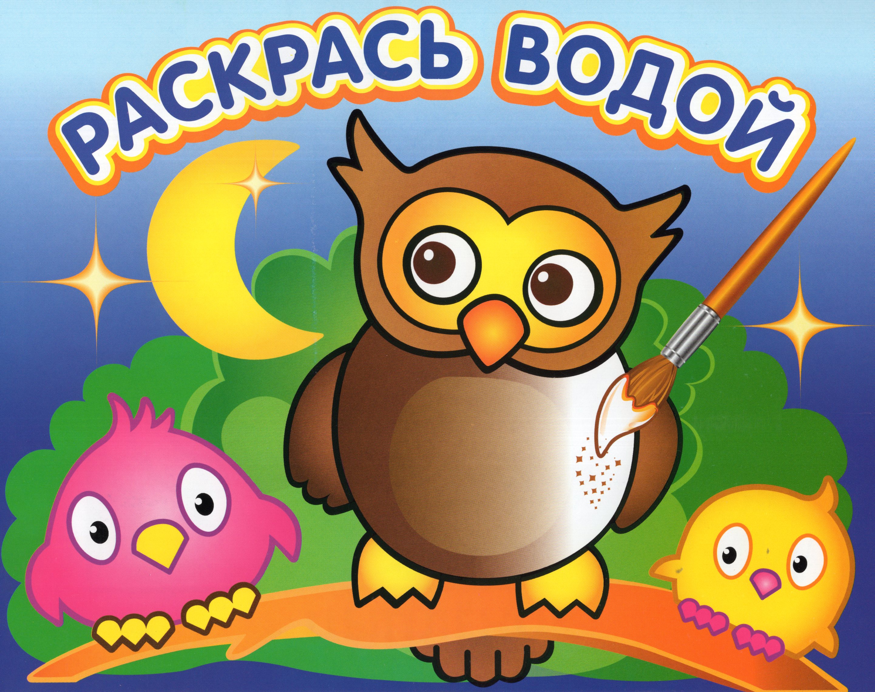 

Водная раскраска. Мудрая сова