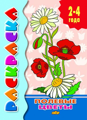

Полевые цветы: Раскраска с подсказкой