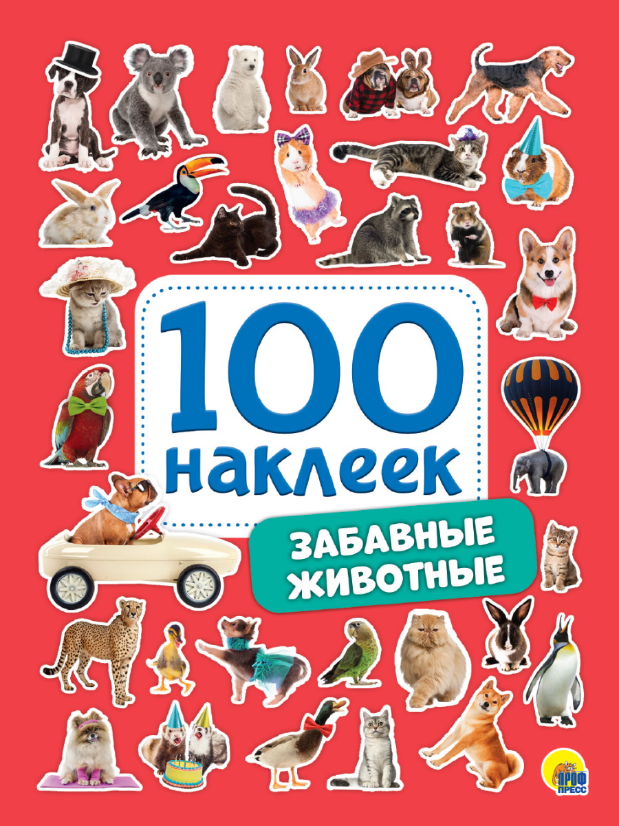 

Забавные животные