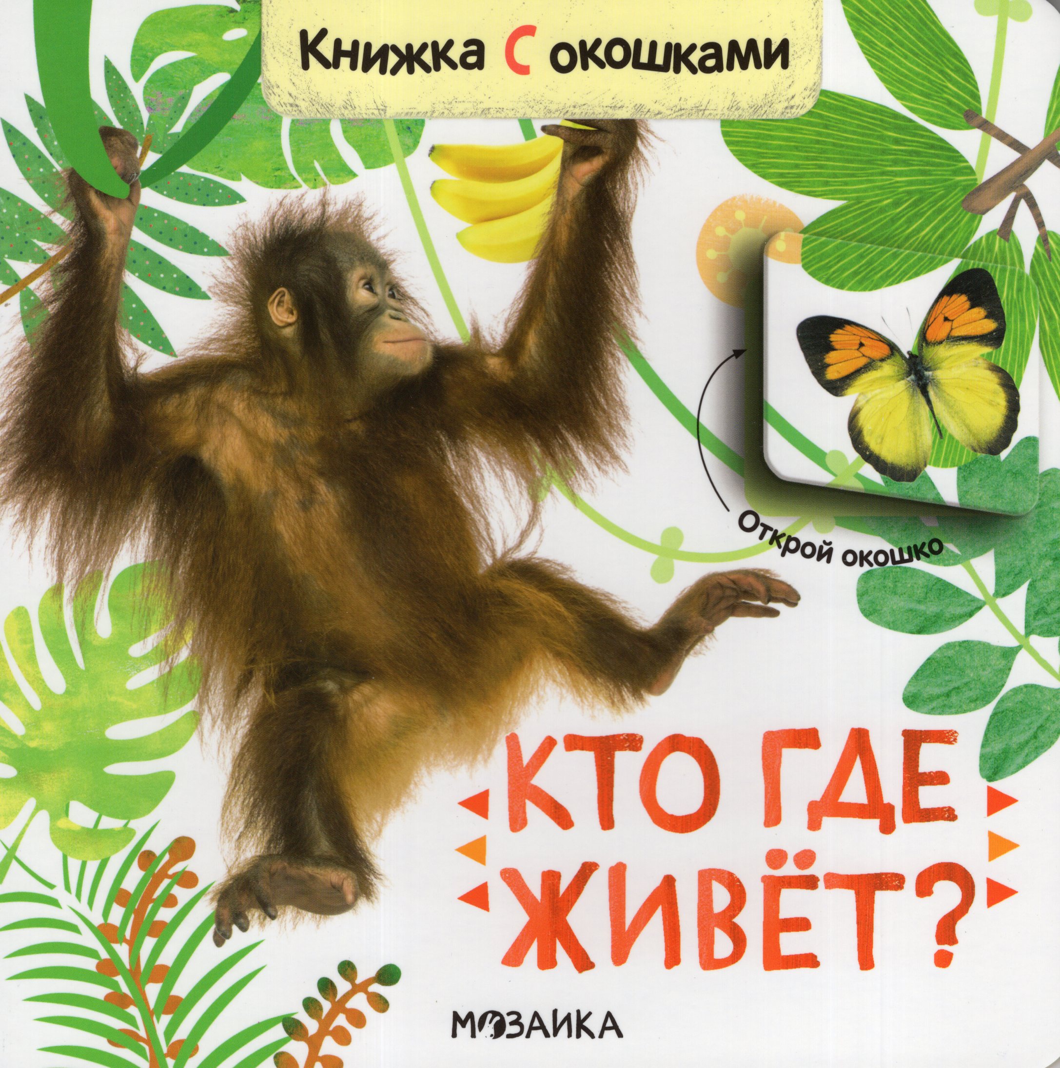

Кто где живет