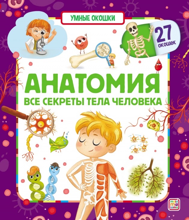 

Умные окошки. Анатомия